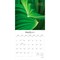 Brush Dance; Simplicity | 2027 12 x 24 Inch (Hanging) Monthly Square Wall Calendar | Plastic-Free; Category:Wall Calendars; Image:4